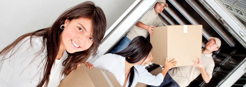 Professional Removalists Cobains